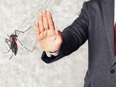 About TermiTech Solutions - queen creek termite control  treatment experts in Queen Creek