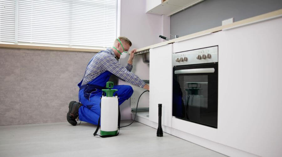 Why choose TermiTech Solutions for queen creek termite control  treatment in Queen Creek
